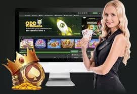 qq8